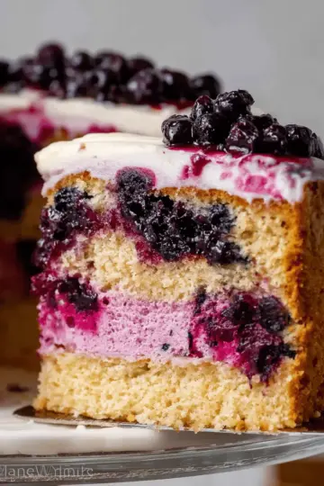 Blueberry Jam Cake - Easy Blueberry Filled Layer Cake