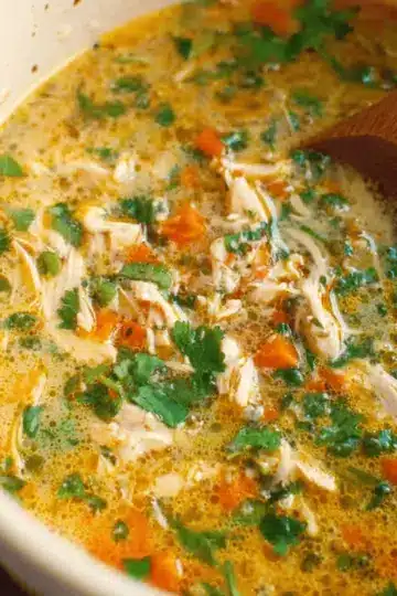 Coconut Cilantro Chicken Soup