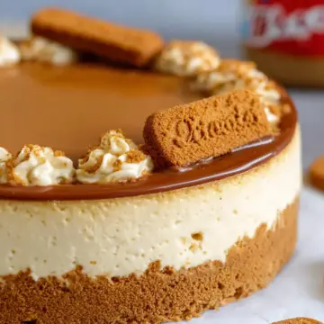 Biscoff Cheesecake