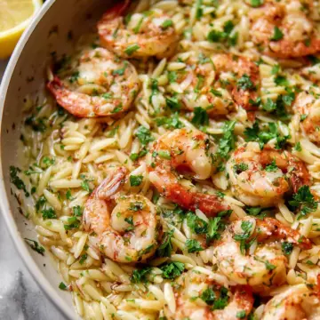 Shrimp Scampi Orzo