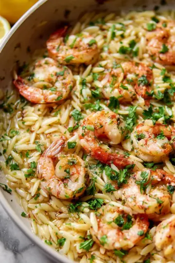 Shrimp Scampi Orzo